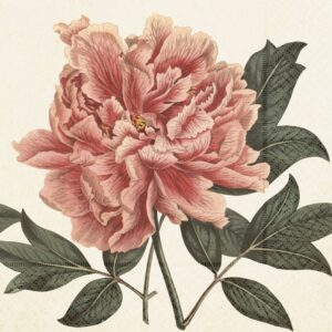 Servetter, stor rosa blomma