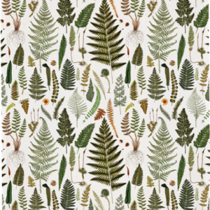 Kökshandduk, ormbunke